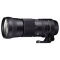 Sigma 150-600mm f/5-6.3 C DG OS HSM Can Lett og praktisk supertelezoom for Canon